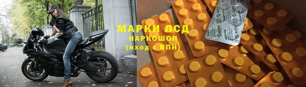 ПСИЛОЦИБИНОВЫЕ ГРИБЫ Арсеньев