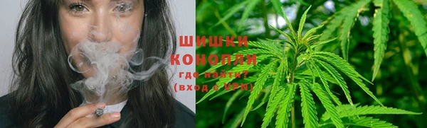 ПСИЛОЦИБИНОВЫЕ ГРИБЫ Арсеньев
