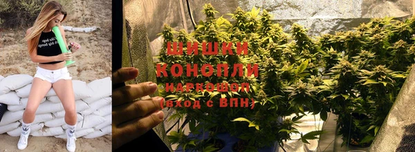 дживик Армянск
