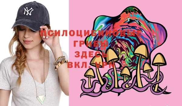 ПСИЛОЦИБИНОВЫЕ ГРИБЫ Арсеньев