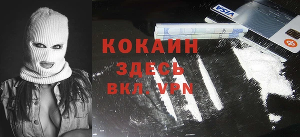 ПСИЛОЦИБИНОВЫЕ ГРИБЫ Арсеньев
