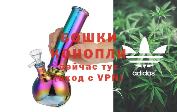 ПСИЛОЦИБИНОВЫЕ ГРИБЫ Арсеньев