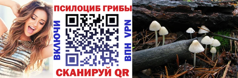 дарнет шоп  мориарти формула  Псилоцибиновые грибы мухоморы  Татарск 
